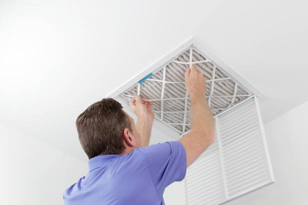 Best Local Air Duct Cleaning Services  in Auburn Hills, MI